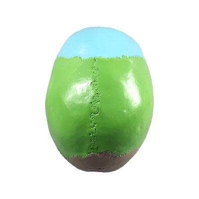 Фото: Цветная разборная модель человеческого черепа Corpo Cranium-6 Цветная разборная модель человеческого черепа Corpo Cranium-6